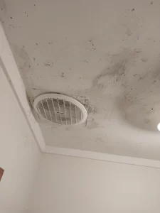 Patching Water Stains on Plaster Board Ceilings