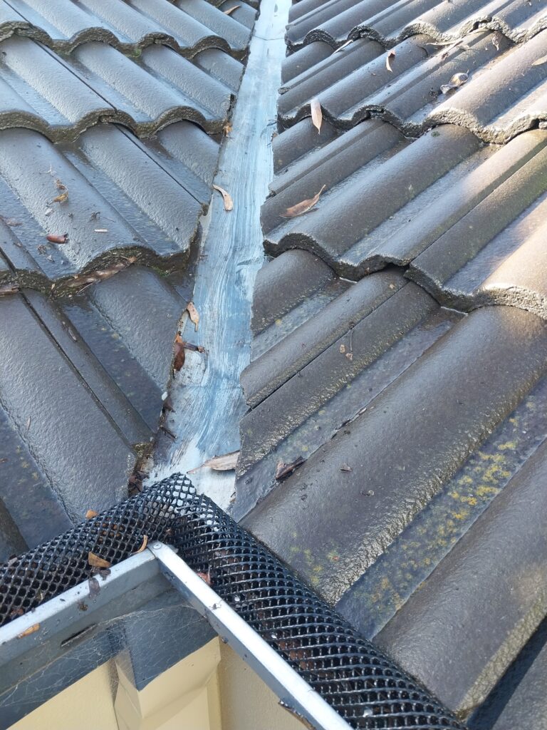 gutter maintenance